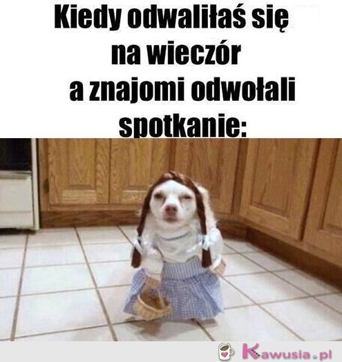 Świetnie