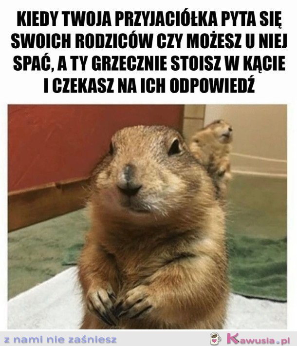 ZA KAŻDYM RAZEM