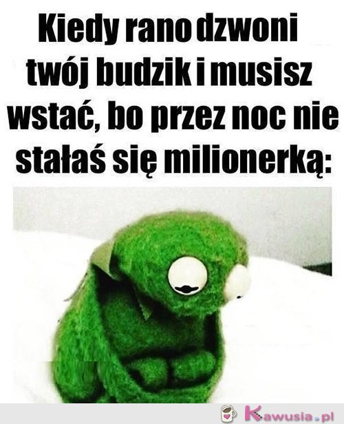 Może jutro...