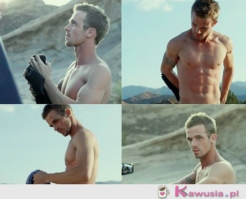 Cam Gigandet