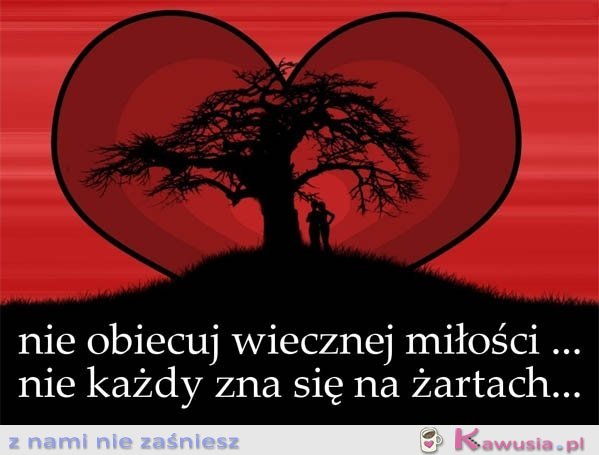 Nie obiecuj wiecznej miłości