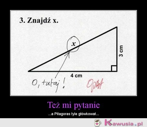 Też mi pytanie