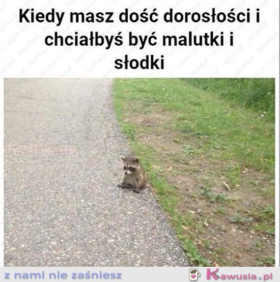 Kiedy masz dość dorosłości