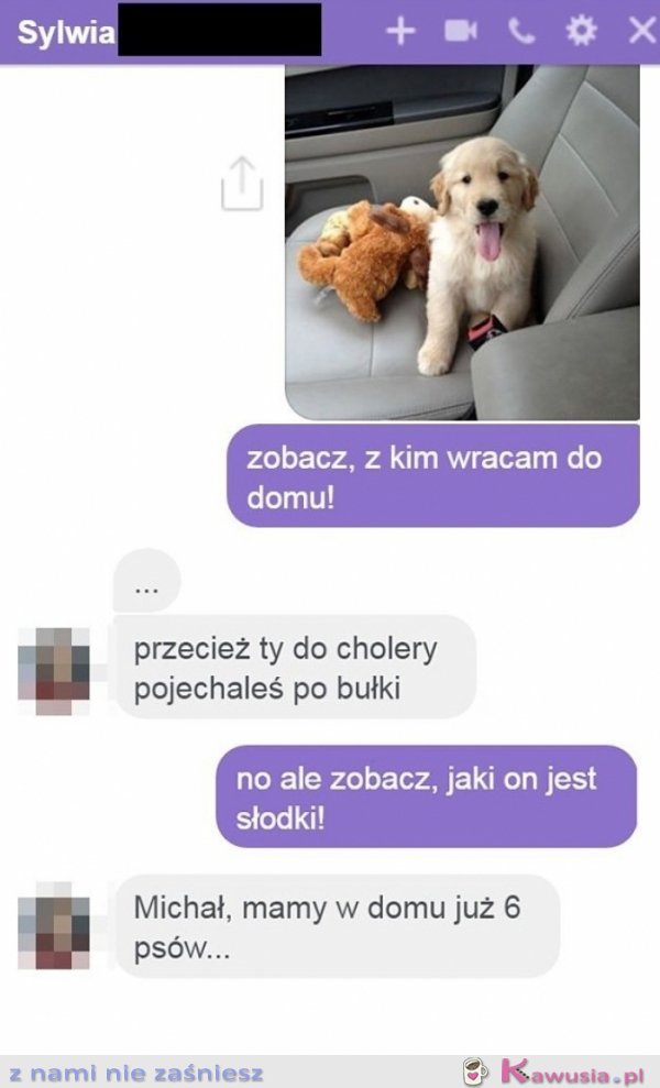 Przecież pojechałeś tylko po bułki