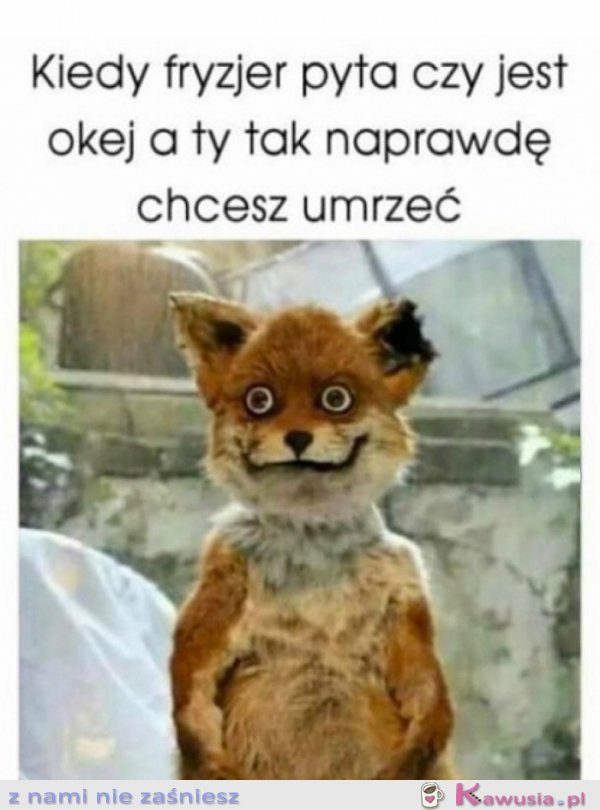 Zawsze wtedy chcę się zabić