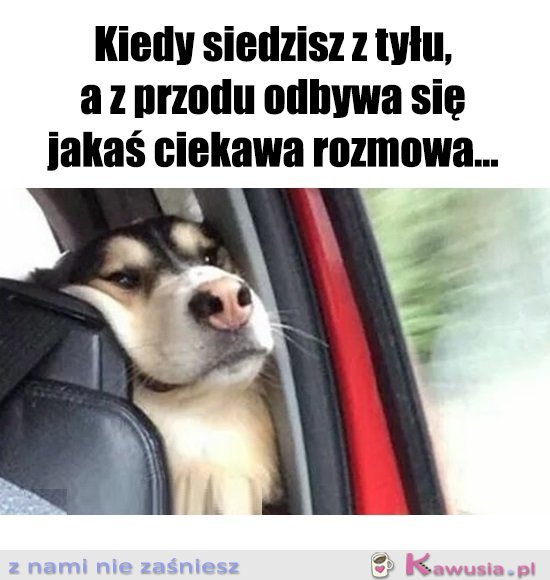 Chciałabym coś dodać...