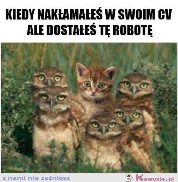 MOŻE NIE ZAUWAŻĄ