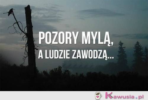 Pozory mylą a ludzie zawodzą