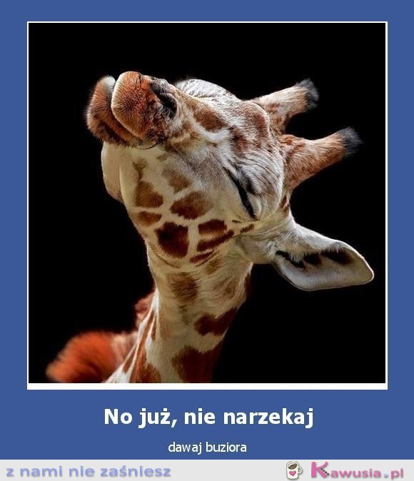 Dawaj buziora!