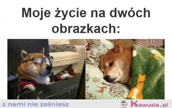 Całe moje życie na 2 obrazkach