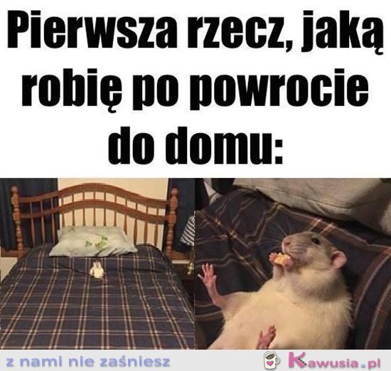 Priorytet...