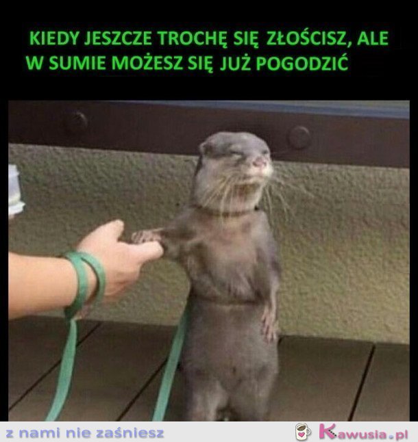 Kiedy jeszcze trochę