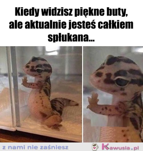 Już was nigdy nie zobaczę...