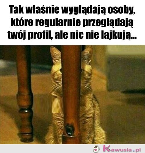 Po co być takim wstydliwym...