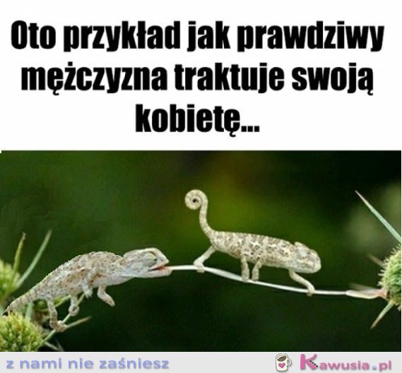 Patrzcie i uczcie się Panowie...