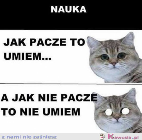 Nauka