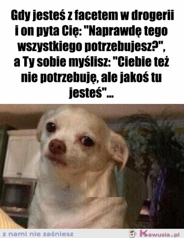 No i proszę...