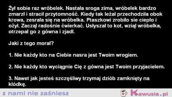 Żył sobie raz wróbelek
