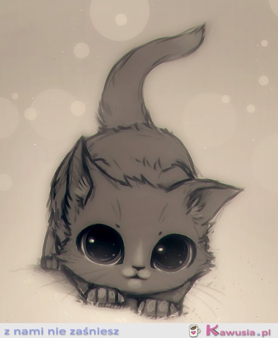 Kociak
