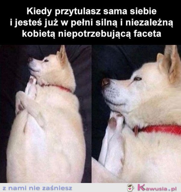 SILNA I NIEZALEŻNA