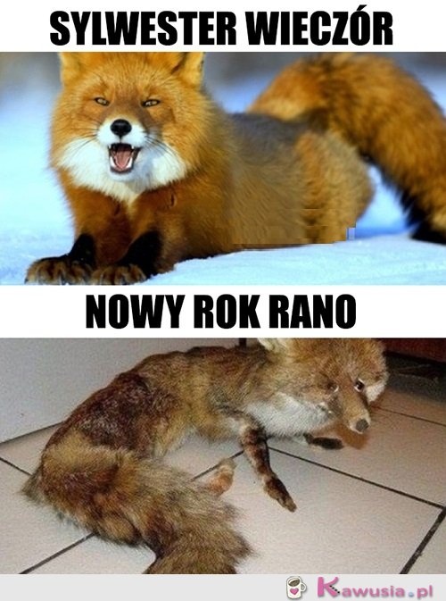 Tak to bywa...