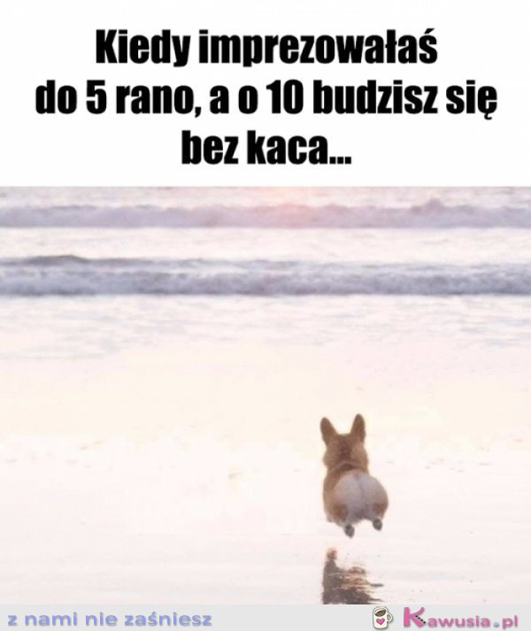 Hopa..