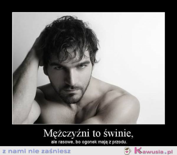 Mężczyźni to świnie