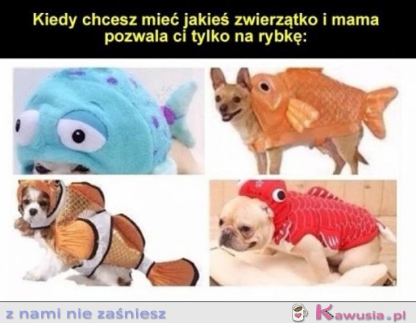 Mama pozwala mi tylko na rybkę