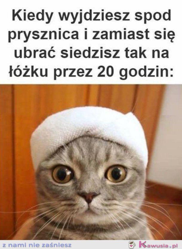ROZMYŚLAM NAD SENSEM ISTNIENIA