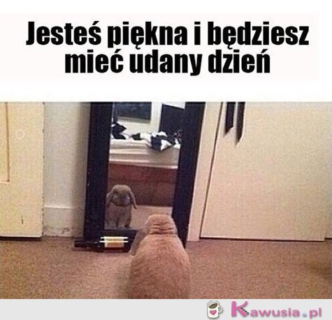 Jesteś piękna