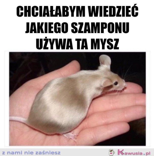 BARDZO PRAGNĘ TEJ INFORMACJI