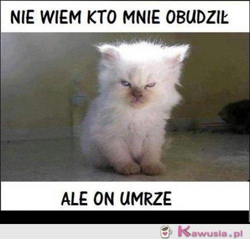 Nie wiem kto mnie ubudził