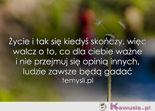 Życie i tak się kiedyś skończy...