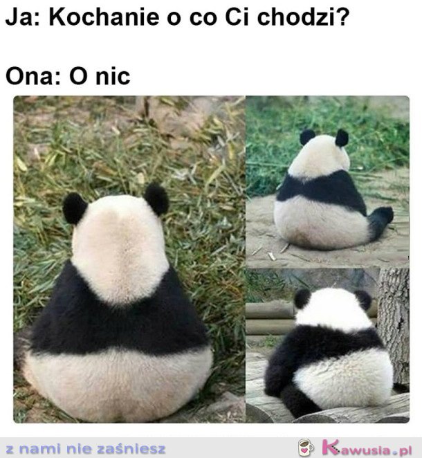 ROZMOWA 