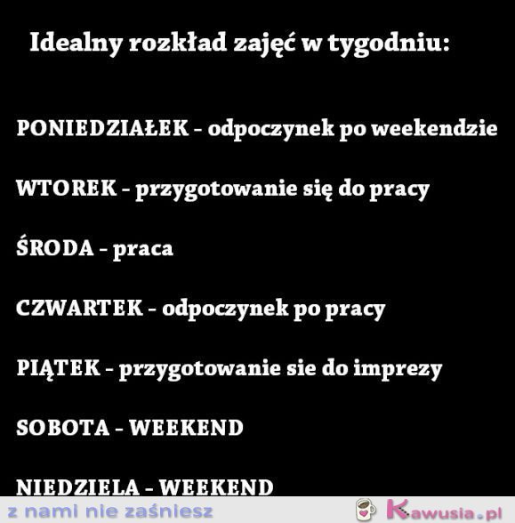 Rozkład zajęć