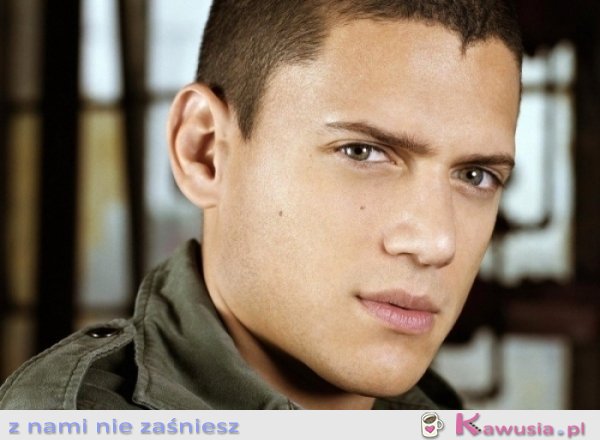 Przystojniak - Wentworth Miller