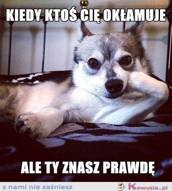 Kiedy ktoś Cię okłamuje