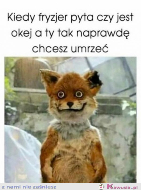 Zawsze wtedy chcę się zabić