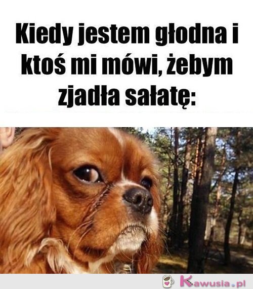 Żartujesz?