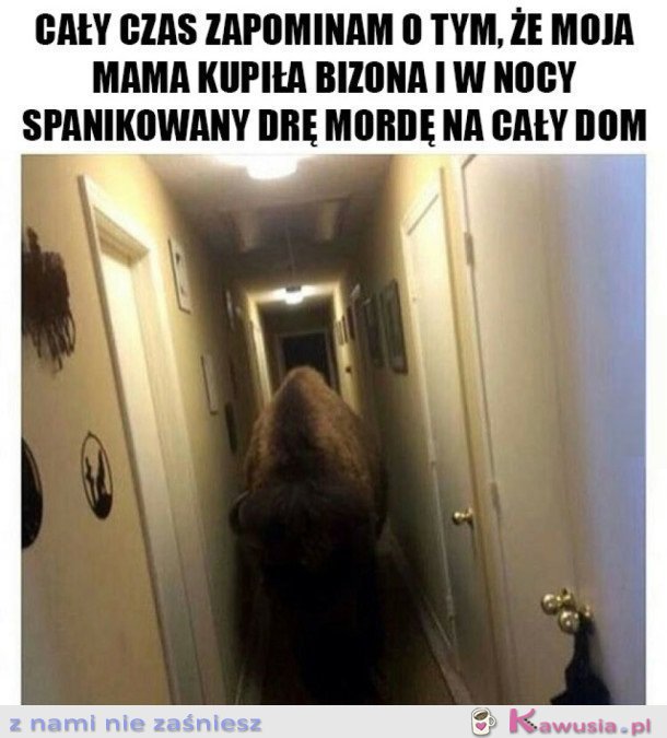 NIETYPOWA ZACHCIANKA MOJEJ MAMY