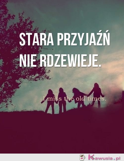 Stara przyjaźń