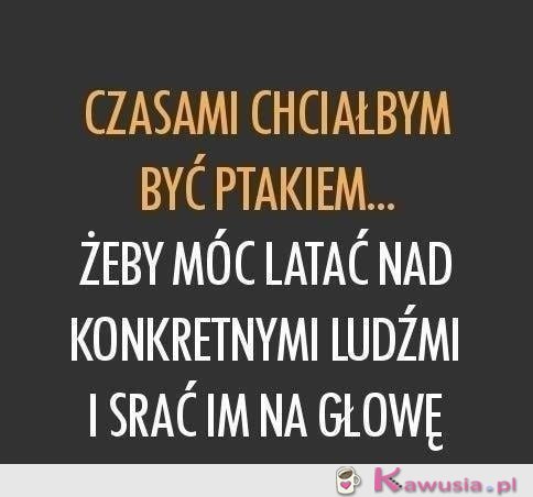 Czasami chciałabym być ptakiem...