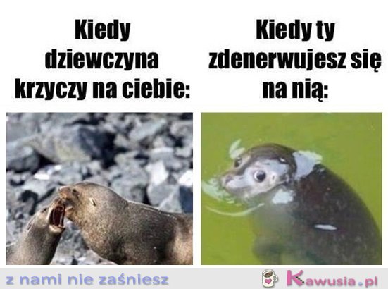 Ale co się stało?