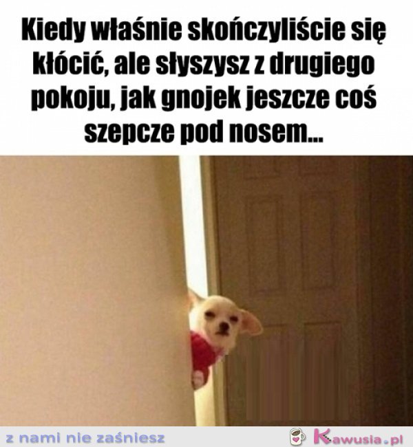 Co tam jeszcze gadasz...