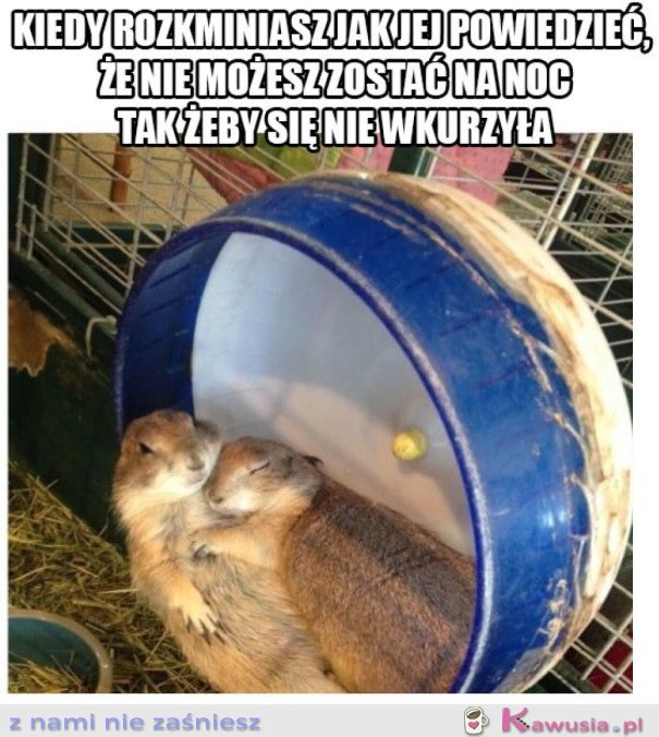 Jak to delikatnie rozegrać?