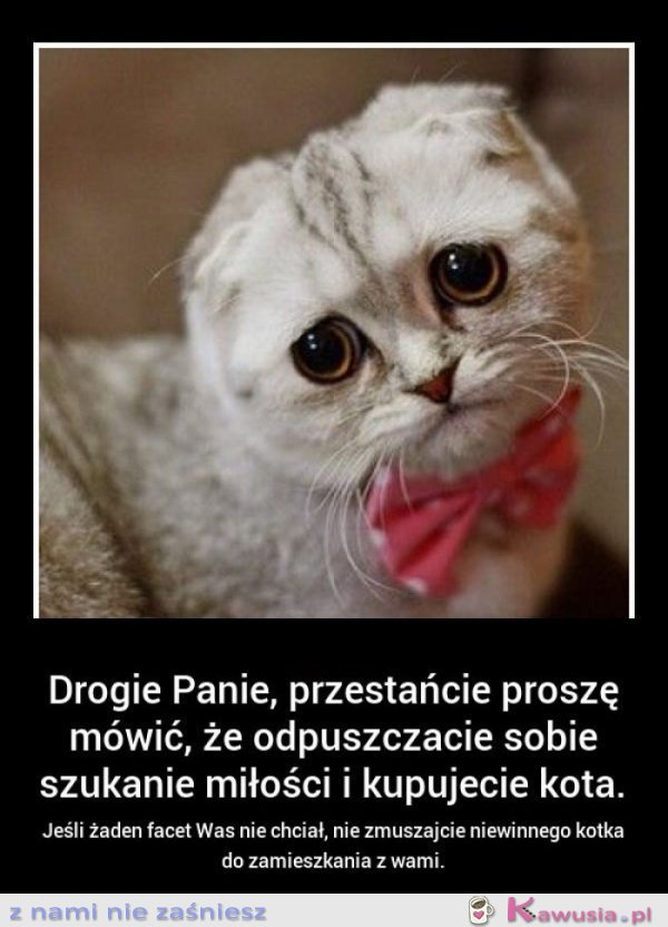 Drogie panie, przestańcie proszę