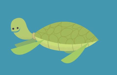 Żółwik