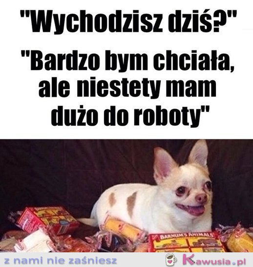 Mega ważne plany mam..