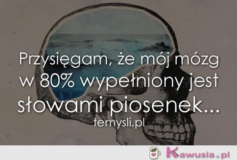 Przysięgam, że mój mózg