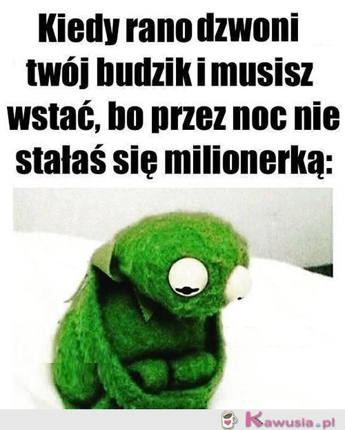 Może jutro...